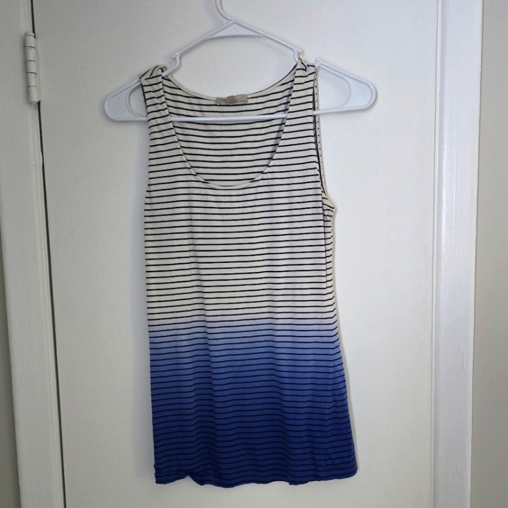 Striped Blue and White Women's Top